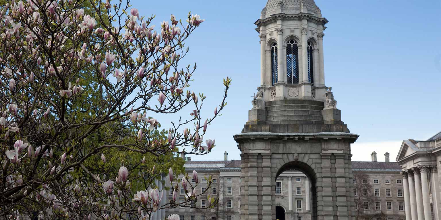 TRINITY COLLEGE DUBLIN UNDERGRADUATE APPLICATION DEADLINE visual data 2